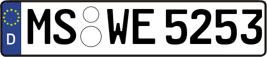 MS-WE5253