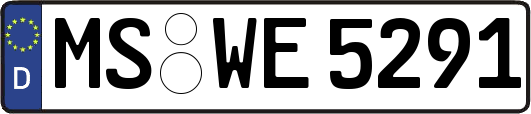 MS-WE5291