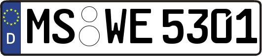 MS-WE5301