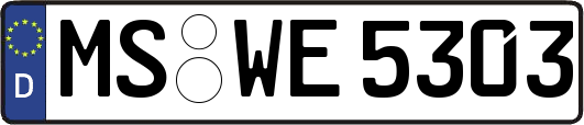 MS-WE5303