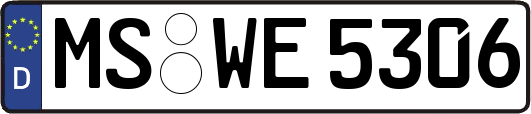 MS-WE5306