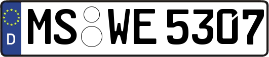 MS-WE5307