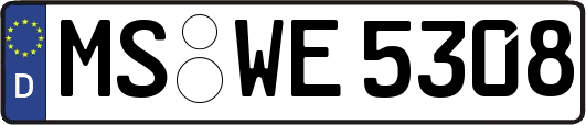 MS-WE5308