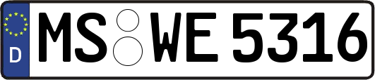 MS-WE5316