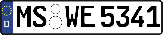 MS-WE5341