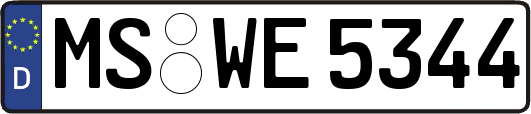 MS-WE5344
