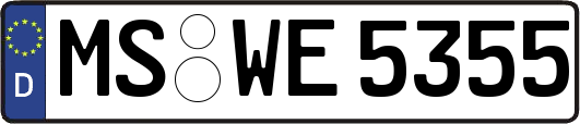 MS-WE5355