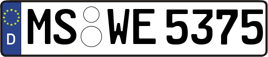 MS-WE5375