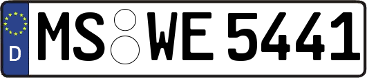 MS-WE5441