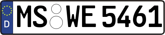 MS-WE5461