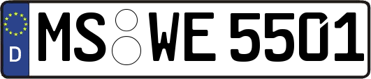 MS-WE5501