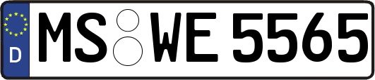 MS-WE5565