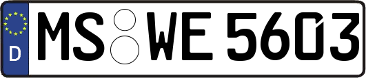 MS-WE5603