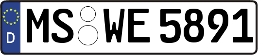 MS-WE5891