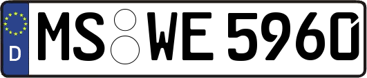 MS-WE5960