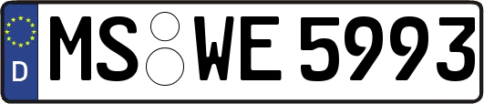 MS-WE5993