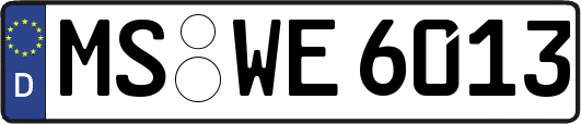 MS-WE6013