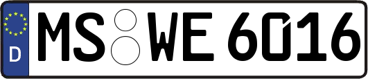 MS-WE6016