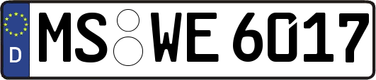 MS-WE6017