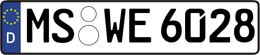 MS-WE6028