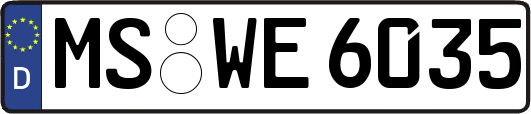 MS-WE6035