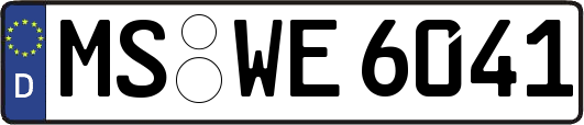 MS-WE6041