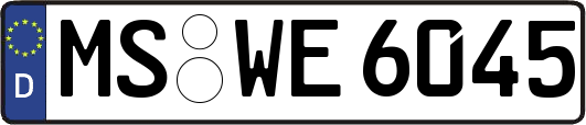 MS-WE6045