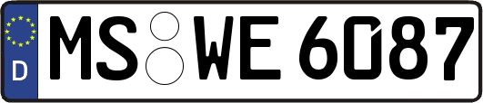 MS-WE6087