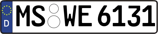 MS-WE6131
