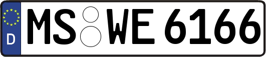 MS-WE6166