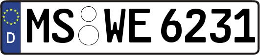 MS-WE6231