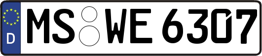 MS-WE6307