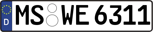 MS-WE6311