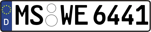 MS-WE6441