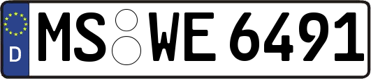 MS-WE6491