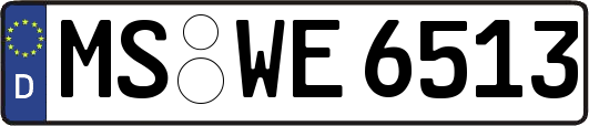 MS-WE6513