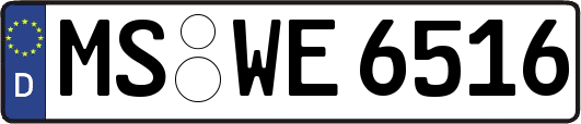MS-WE6516