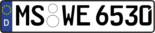 MS-WE6530