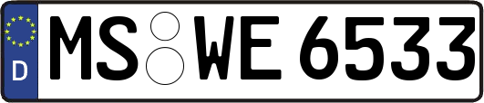MS-WE6533