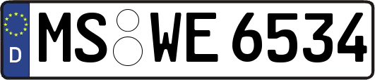 MS-WE6534