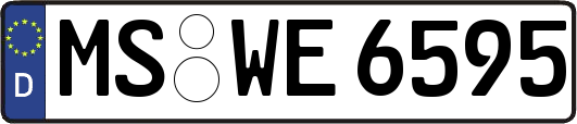 MS-WE6595