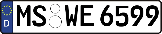 MS-WE6599