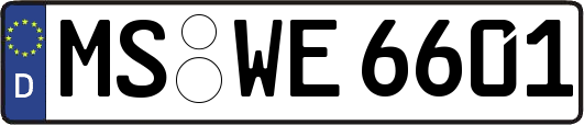 MS-WE6601