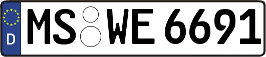 MS-WE6691