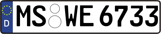 MS-WE6733
