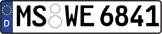 MS-WE6841