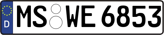 MS-WE6853
