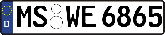 MS-WE6865