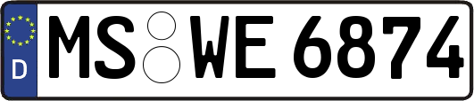 MS-WE6874