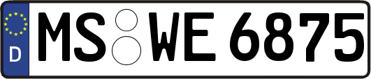 MS-WE6875